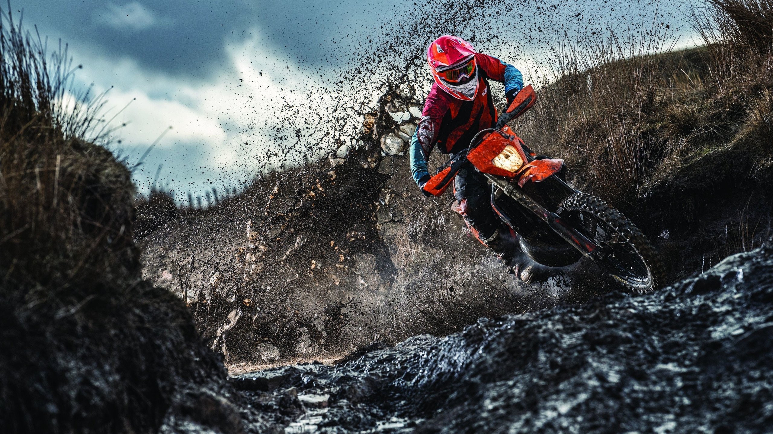 中立代表队B的强心脏——普里戈达,普里戈金百度百科