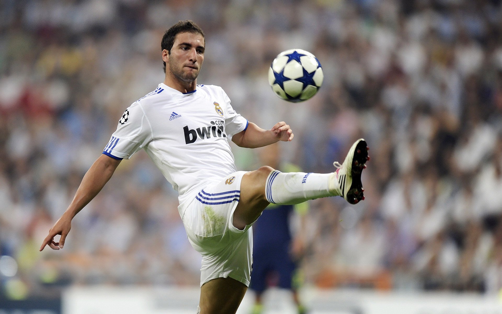 开云体育网址-纽卡斯尔联球迷狂欢,团队士气高涨,纽卡斯尔联足球队